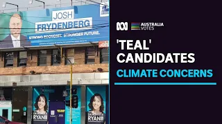 Liberal candidates finding themselves wedged between colleagues and 'teal' Independents | ABC News