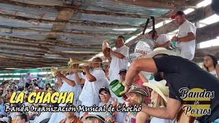 ✅🔥LA CHACHA - Banda Organización Musical de Chochó