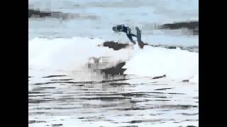 First-Ever Backside Flip Landed on a Surfboard