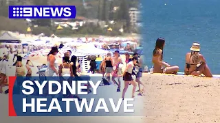 Calls to stay safe as Sydney sweats through heatwave | 9 News Australia