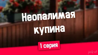 podcast: Неопалимая купина - 1 серия - #Сериал онлайн киноподкаст подряд, обзор