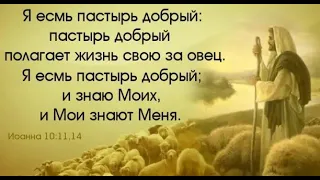 Овцы Мои слушаются голоса Моего, и Я знаю их;  И будут последние первыми, а...Вера твоя спасла тебя!