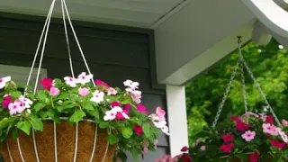 50 Best Outdoor Hanging Planter Ideas for the Porch | Diy Hanging Porch Planters