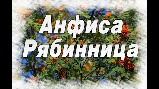 9 сентября - Анфиса Рябинница. Народные приметы, поверья. Запреты. ДЕНЬ ПАМЯТИ АНФИСЫ И ПИМЕНА.