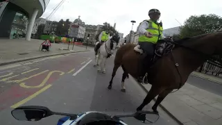 Suzuki GSXR wheelie and busted by police on a horse in Central London