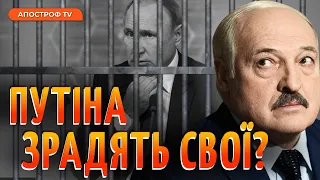 РОЗВАЛ ОДКБ: чи готовий Лукашенко кинути путіна?