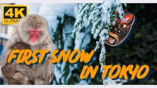 Walking in the Snow Tokyo, Japan 4k ASMR