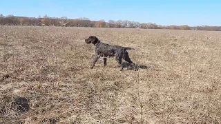 Бенья, стойки и подводки