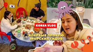 Жизнь в Корее🇰🇷 Пробую сырого осминога и червя/ Работа Бариста/ Запретили снимать маску😷[korea vlog]