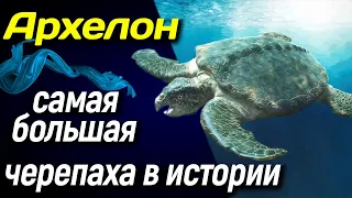 🐢 Архелон — самая большая черепаха в истории 🐢