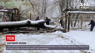 Одеська область в сніговому полоні: понад 100 населених пунктів залишилося без електроенергії