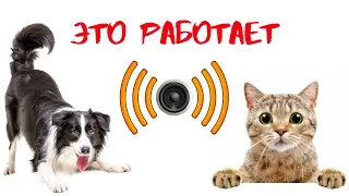 ✅Ультразвук для домашних питомцев ЛУЧШЕЕ (СОБАКА и КОШКА оценит)