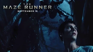 The Maze Runner | Dangerous Place [HD] | 20th Century FOX