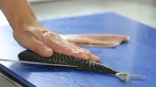 How To Fillet A Mackerel