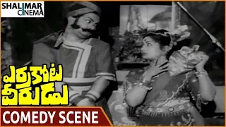 Errakota Veerudu Movie || NTR & Savitri Hilarious Comedy Scene || NTR, Savitri || Shalimarcinema