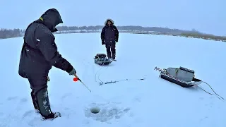 Оставил жерлицы без присмотра. Рыбалка без рыбы. Готовим на природе.