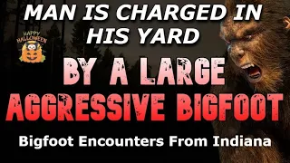 MAN IS CHARGED IN HIS YARD BY A LARGE AGGRESSIVE BIGFOOT - True Bigfoot Encounters From Indiana