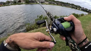 stud bass with giant baits ( savage gear 6in line through bluegill )