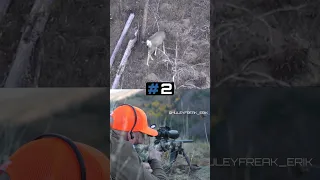 TOP 5 MULE DEER HUNTING KILL SHOTS! #1