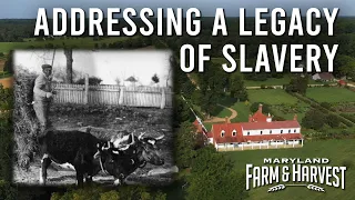 A Maryland Plantation Addresses a Legacy of Slavery  |  MD F&H