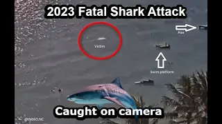 Fatal Shark Attack Caught on Camera. Australian attacked in New Caledonia.