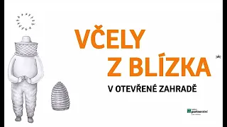 O včelách a lidech – Včely z blízka