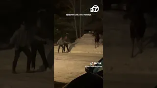 Moose charges at man after ignored warnings from locals