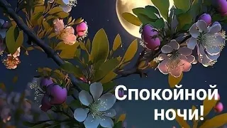 Пусть ночь заберёт с собой  все тревоги дня♥️ Доброй ночи 💙💜