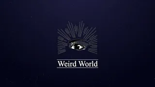 WEIRD WORLD - BARTON NUNNELLY & STEVE STOCKTON