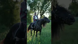 a beautiful powerful horse and rider.shorts.красивый мощный конь и всадница.