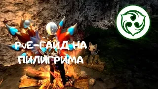 Гайд на Пилигрима | New Dragon Nest