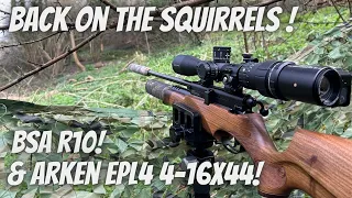 Back out again on the Grey Squirrels with BSA R10 & Arken EPL-4 Feeder Action!