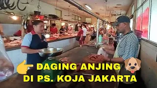 JUAL DAGING ANJING DI PASAR KOJA BARU JAKARTA