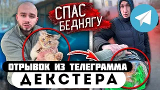 Прода из телеграмма // Декстер // НАШЕЛ на ПОМОЙКЕ КОТЕНКА и СПАС от ХОЗЯЕВ