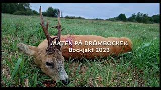 Jakten på drömbocken - Bockjakt 2023 4K