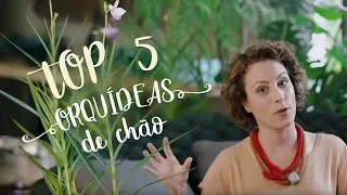 TOP 5 ORQUÍDEAS DE CHÃO