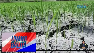 Bulalacao, Oriental Mindoro, isinailalim sa state of calamity dahil sa El Niño | UB