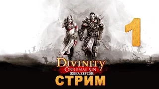 Divinity Original Sin Enhanced Edition СТРИМ Жека Херсон часть 1