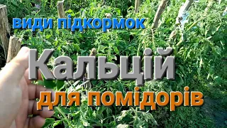 Одне з найважливіших підживлень для ваших Помідорів/// Кальцій для помідорів@Dacha_Sad_Gorod