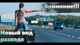 ПОЧЕМУ ДАЛЬНОБОЙЩИКИ НЕ ХОТЯТ БРАТЬ ПОПУТЧИКОВ???