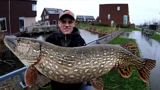 BROCHET GEANT 143CM - RECORD EXTREME ( monster pike )