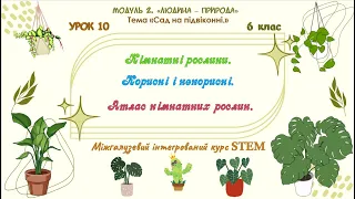 Урок 10. Кімнатні рослини.🍀🌺 Корисні й некорисні. Атлас кімнатних рослин.🌼🌷