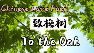 Chinese love poem - 致橡树(zhixiangshu)-To the oak by Shu Ting - with English translation