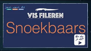 Vis fileren: Snoekbaars