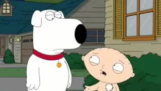 Como conquistar a una mujer según Stewie Griffin, padre de familia.