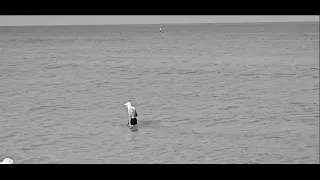 Depeche Mode "Before We Drown" (Chord Of Life Remix) Marine video @breizhluffy