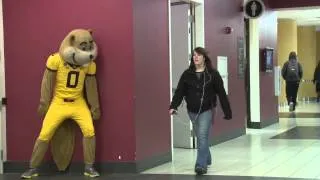 Don't Be Scared! Goldy Gopher Scares People
