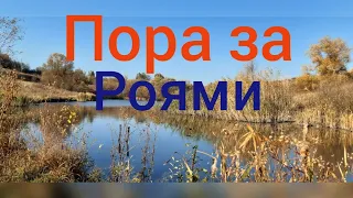 сборка ловушек для поимки роев