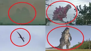 5 Godzilla Characters Caught on Camera & Spotted in Real Life 5