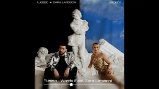 Alesso - Words (Feat. Zara Larsson) Jenner Miranda Remix